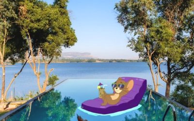 Even Tom and Jerry checked in to Nature’s Island, and all they packed was drama and nostalgia
