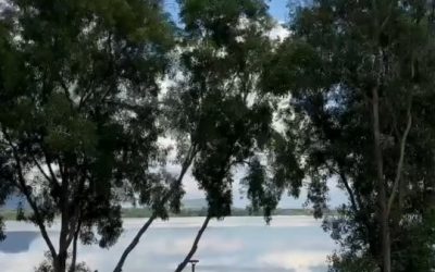 Social Image 10 Three sides of lake, one side of me just falling in love with life again